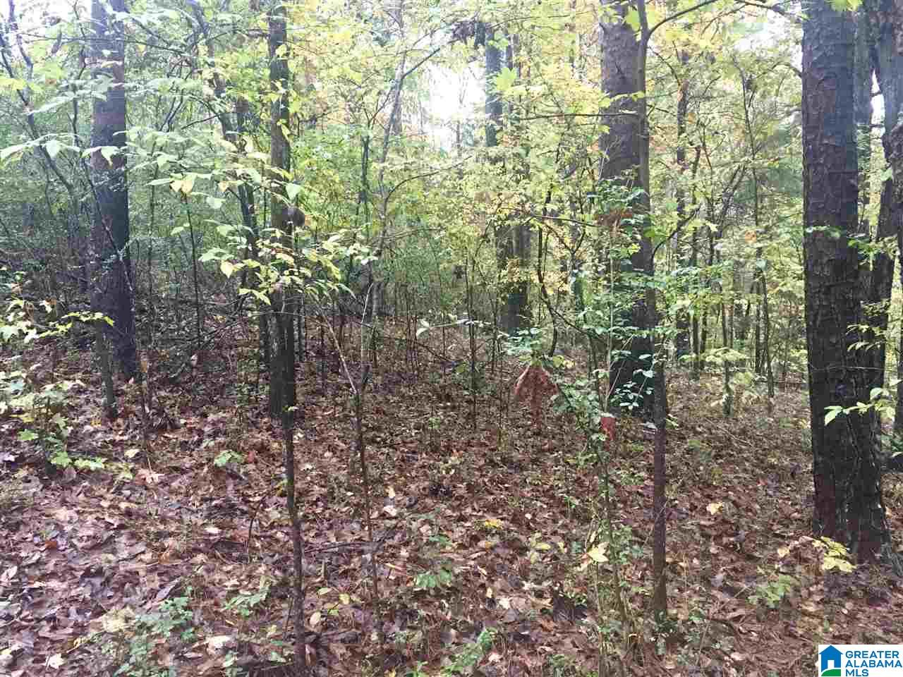 6761 Highway 10 Montevallo, AL 35115 - Photo 42 of 45