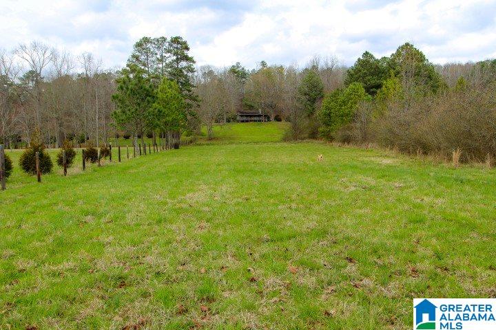 2391 Lock 3 Road Ragland, AL 35131 - Photo 29 of 37