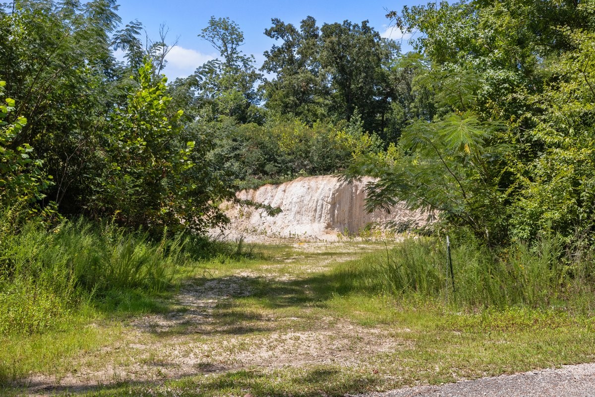 1975 Kelly Road Holladay, TN 38341 - Photo 84 of 87 Gallery Image 84