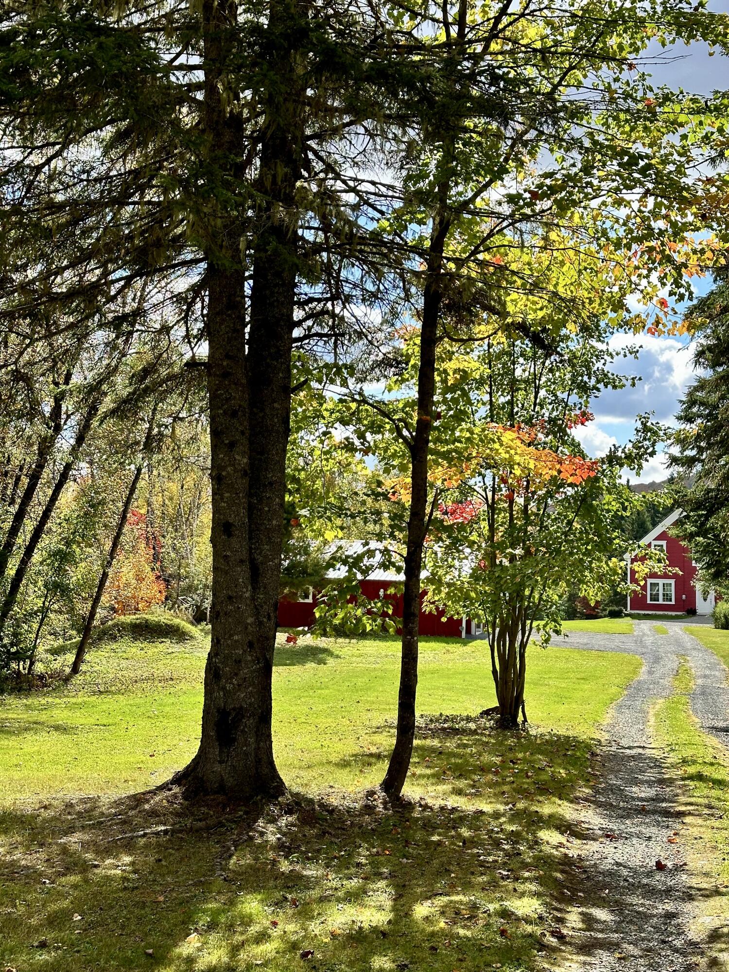 290 Hedman Road New Sweden, ME 04762 - Photo 12 of 40 IMG_6568