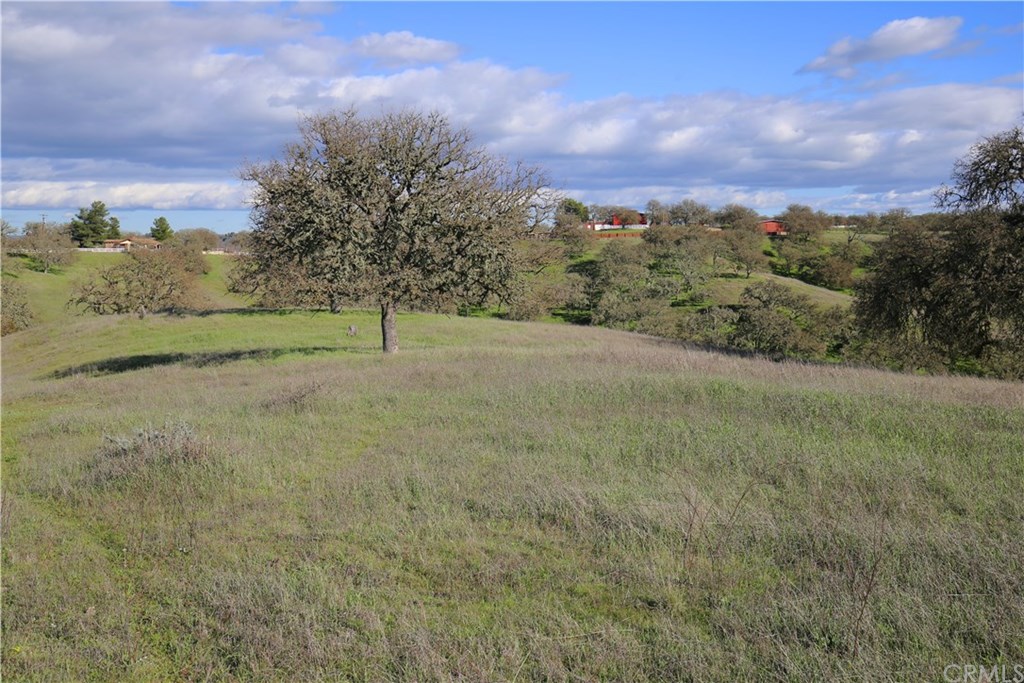 7830 Blue Moon Road Paso Robles, CA 93446 - Photo 6 of 74 Gallery Image 6