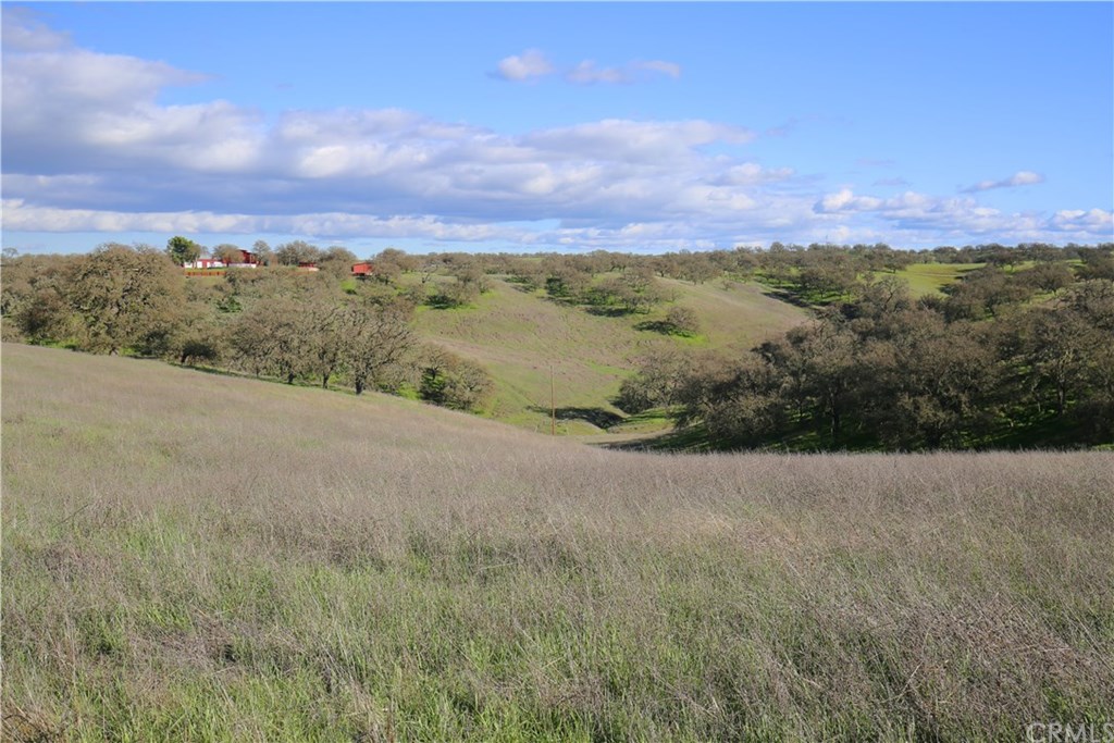 7830 Blue Moon Road Paso Robles, CA 93446 - Photo 56 of 74 Gallery Image 56