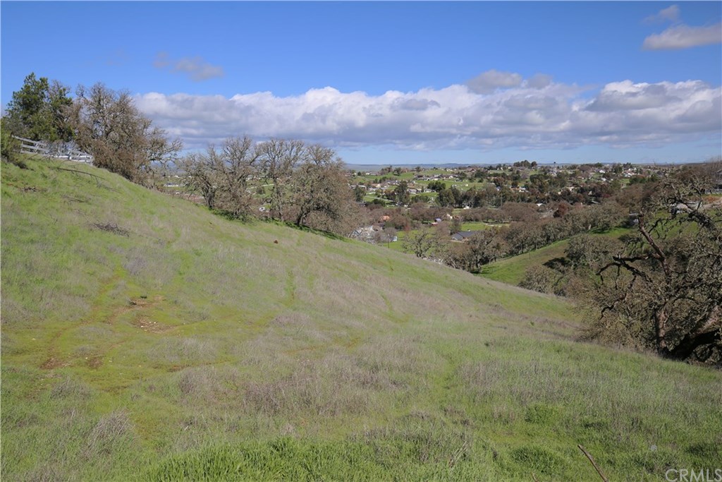 7830 Blue Moon Road Paso Robles, CA 93446 - Photo 57 of 74 Gallery Image 57