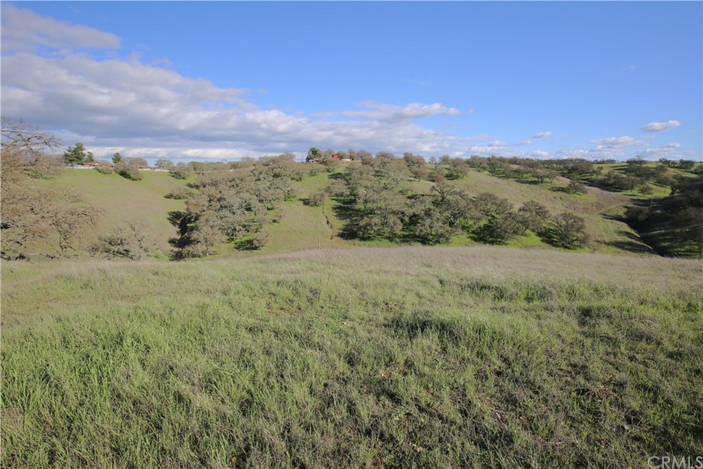 7830 Blue Moon Road Paso Robles, CA 93446 - Photo 58 of 74 Gallery Image 58