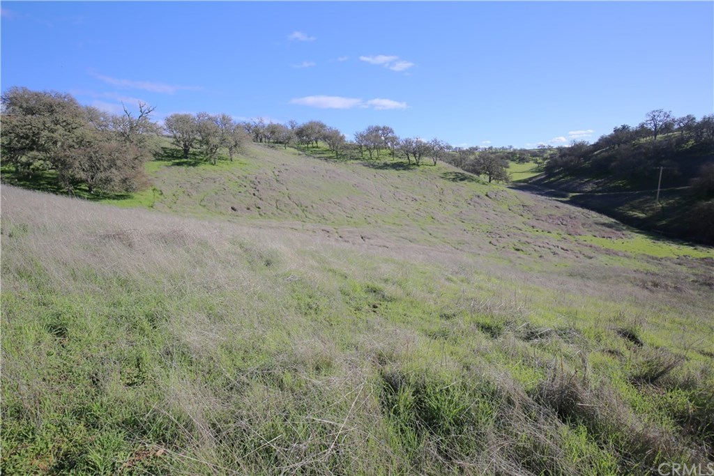7830 Blue Moon Road Paso Robles, CA 93446 - Photo 59 of 74 Gallery Image 59