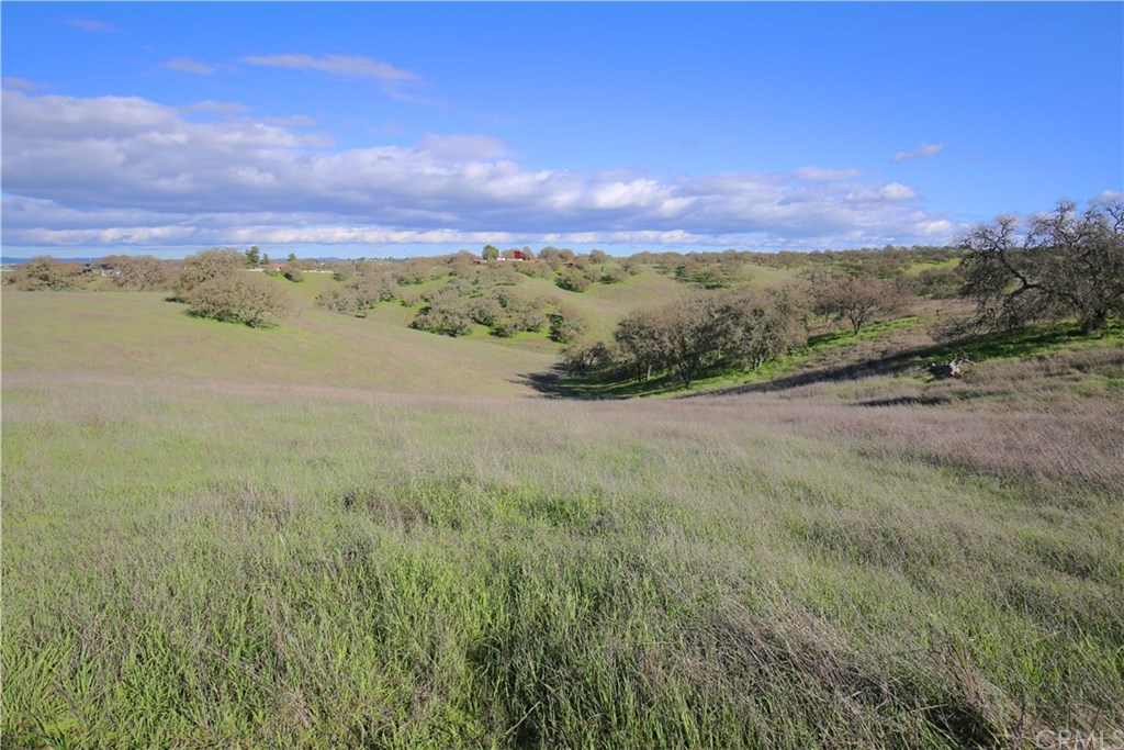 7830 Blue Moon Road Paso Robles, CA 93446 - Photo 7 of 74 Gallery Image 7