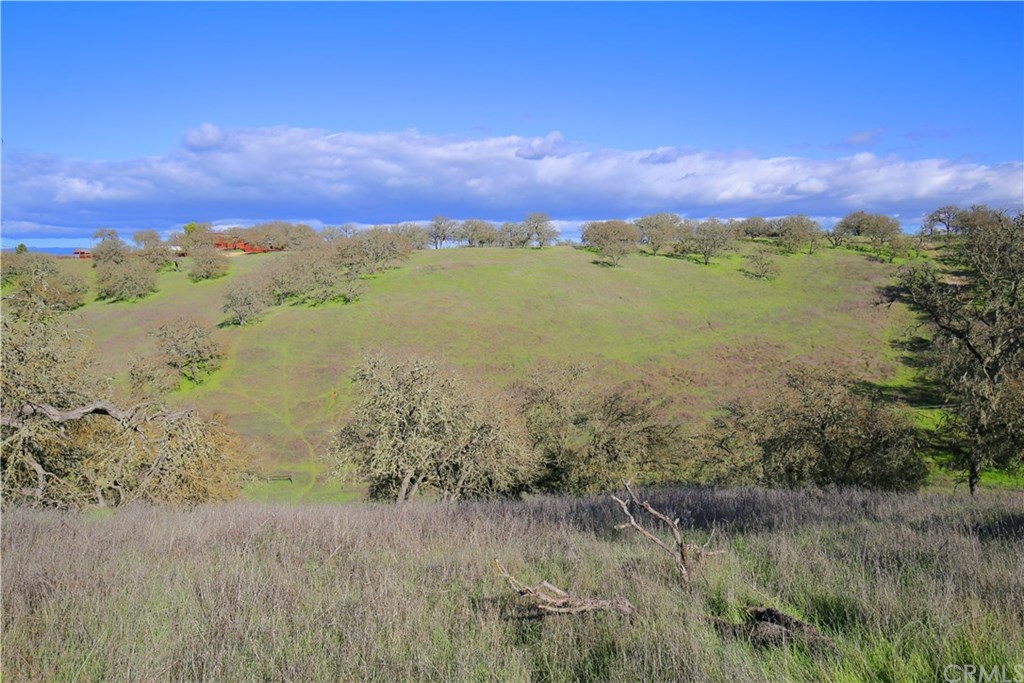 7830 Blue Moon Road Paso Robles, CA 93446 - Photo 61 of 74 Gallery Image 61