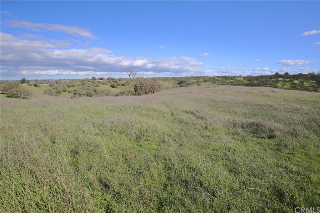 7830 Blue Moon Road Paso Robles, CA 93446 - Photo 62 of 74 Gallery Image 62
