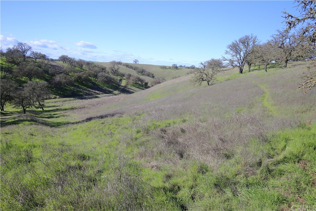 7830 Blue Moon Road Paso Robles, CA 93446 - Photo 63 of 74 Gallery Image 63
