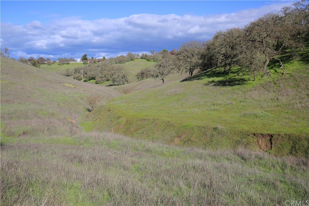 7830 Blue Moon Road Paso Robles, CA 93446 - Photo 64 of 74 Gallery Image 64