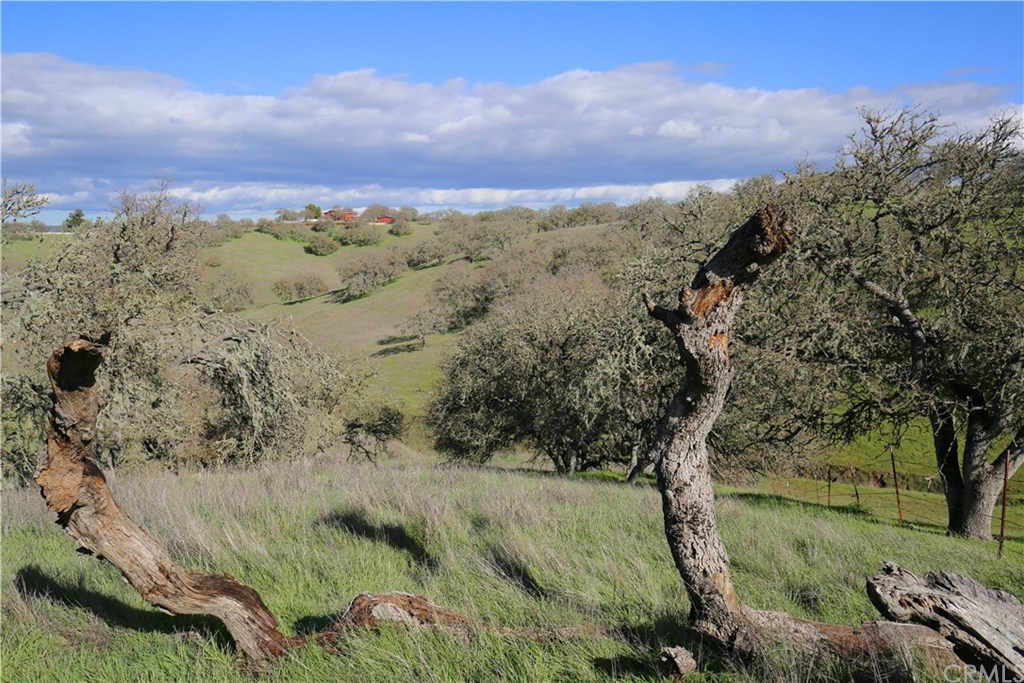 7830 Blue Moon Road Paso Robles, CA 93446 - Photo 65 of 74 Gallery Image 65