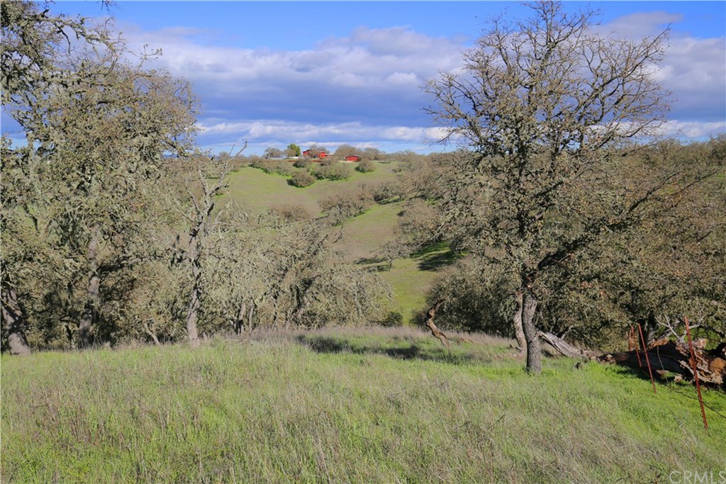 7830 Blue Moon Road Paso Robles, CA 93446 - Photo 66 of 74 Gallery Image 66