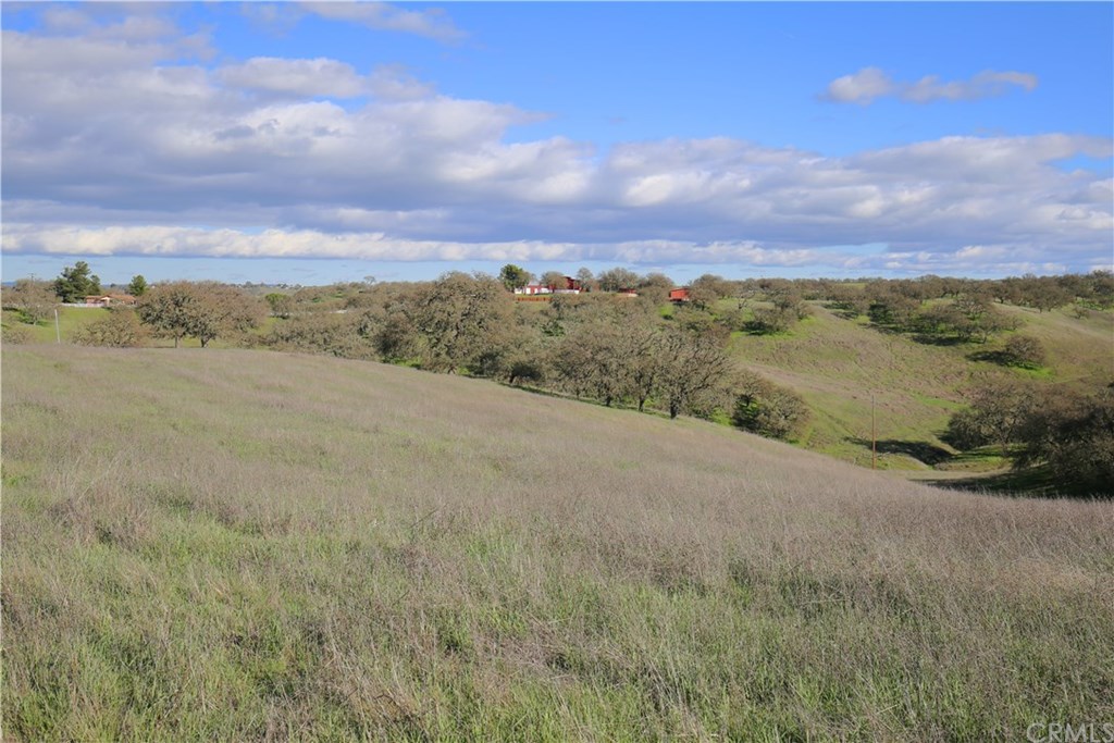7830 Blue Moon Road Paso Robles, CA 93446 - Photo 67 of 74 Gallery Image 67