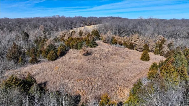 $268,500 | 9833 Highway O Highway, Orrick, MO 64077