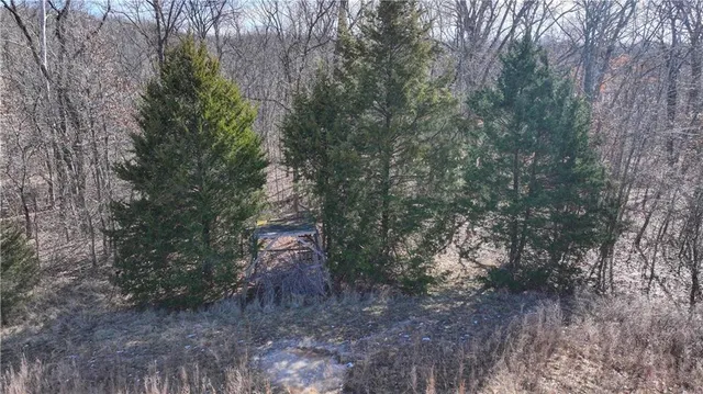 $268,500 | 9833 Highway O Highway, Orrick, MO 64077