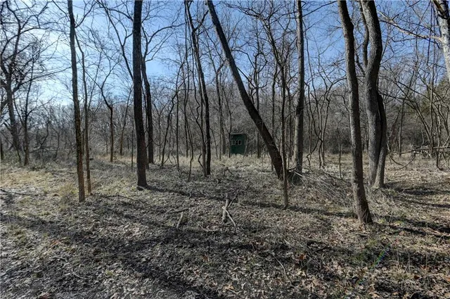 $268,500 | 9833 Highway O Highway, Orrick, MO 64077