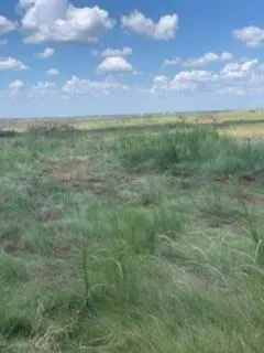 a view of a big yard with lots of green space