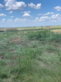 0 McDonald Road Bellevue, TX 76228 - Photo 4 of 9 a view of a big yard with lots of green space