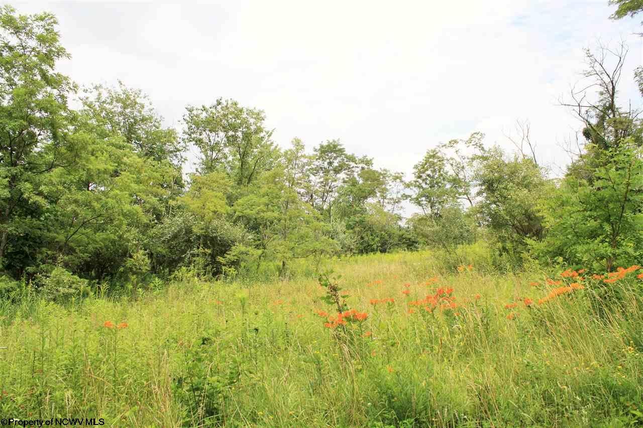 0 Sugar Valley Road Albright, WV 26519 - Photo 11 of 17 Gallery Image 11