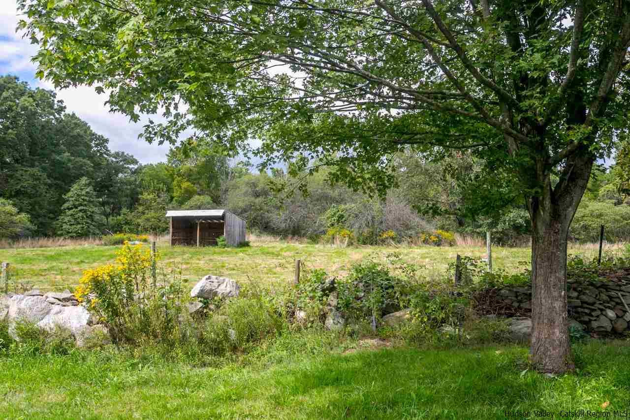 665 Scotchtown Collabar Road Middletown, NY 10941 - Photo 18 of 22 a view of a backyard with plants and large trees