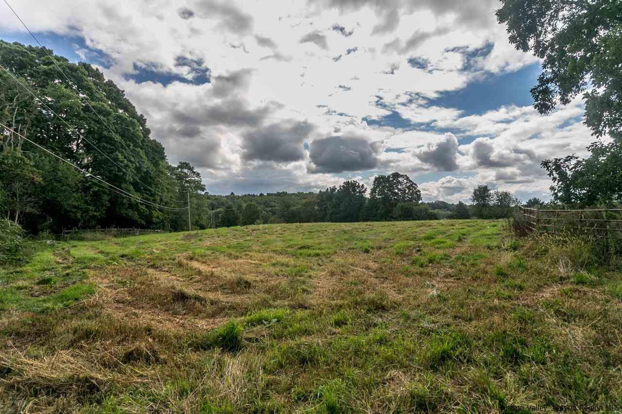 665 Scotchtown Collabar Road Middletown, NY 10941 - Photo 20 of 22 a view of a big yard with plants and large trees