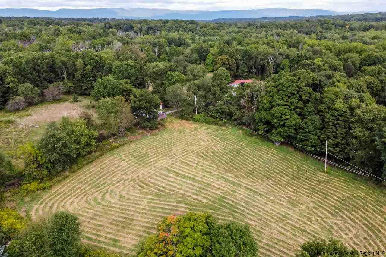 665 Scotchtown Collabar Road Middletown, NY 10941 - Photo 21 of 22 a view of a forest from a yard