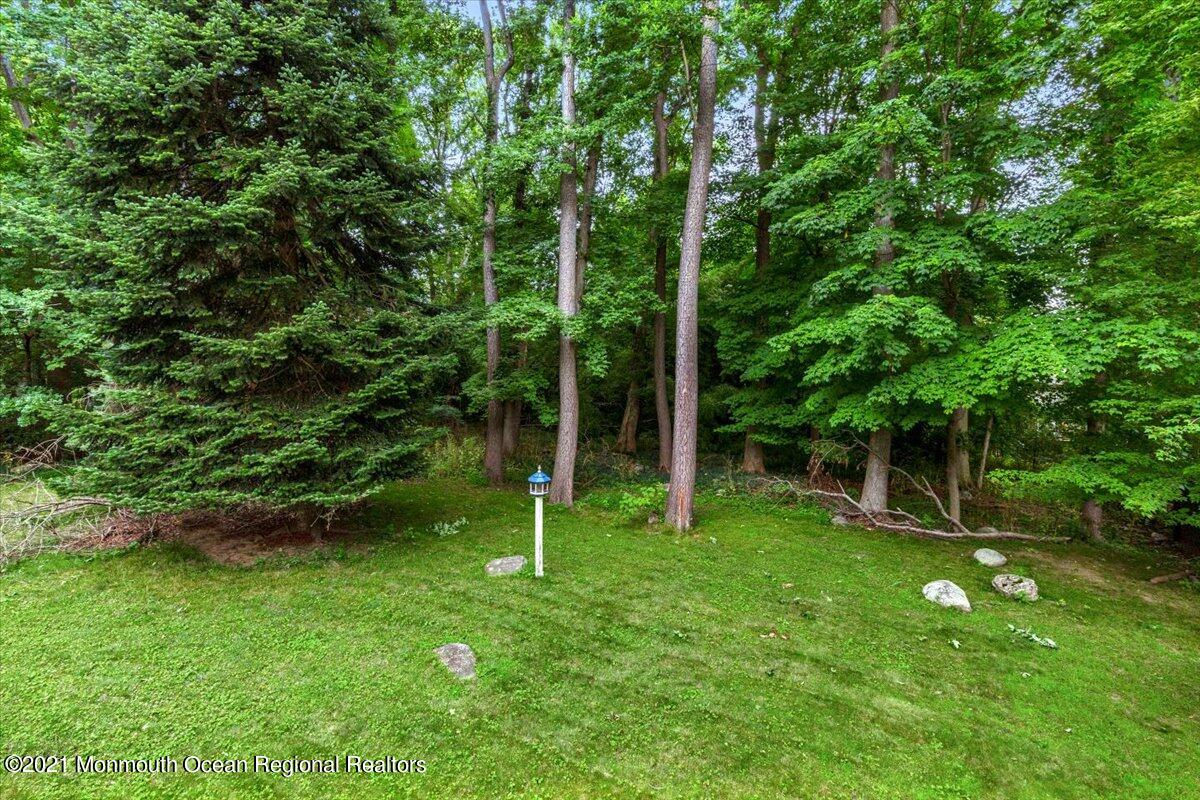 14 Hilltop Terrace Wayne, NJ 07470 - Photo 14 of 34 a backyard of a house with plants and large trees