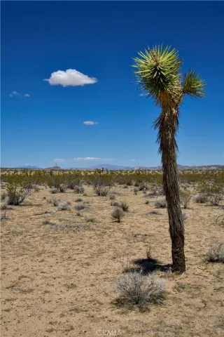 a view of a bathroom with a sink