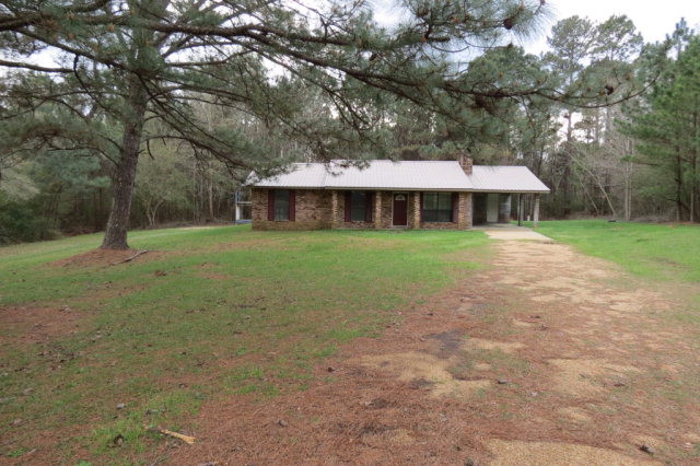 Main View