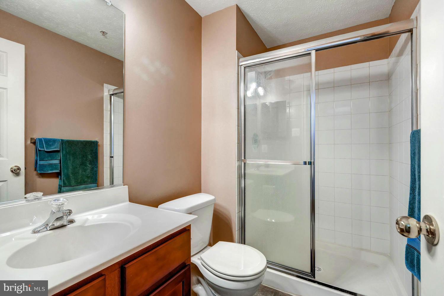 9714 Langley Road Baltimore, MD 21220 - Photo 25 of 27 a bathroom with a sink toilet and shower