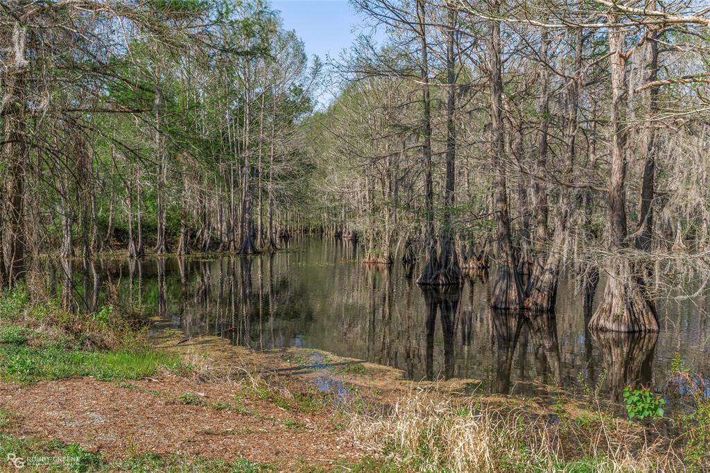 121 Willow Street Heflin, LA 71039 - Photo 12 of 39 a view of lake and a yard