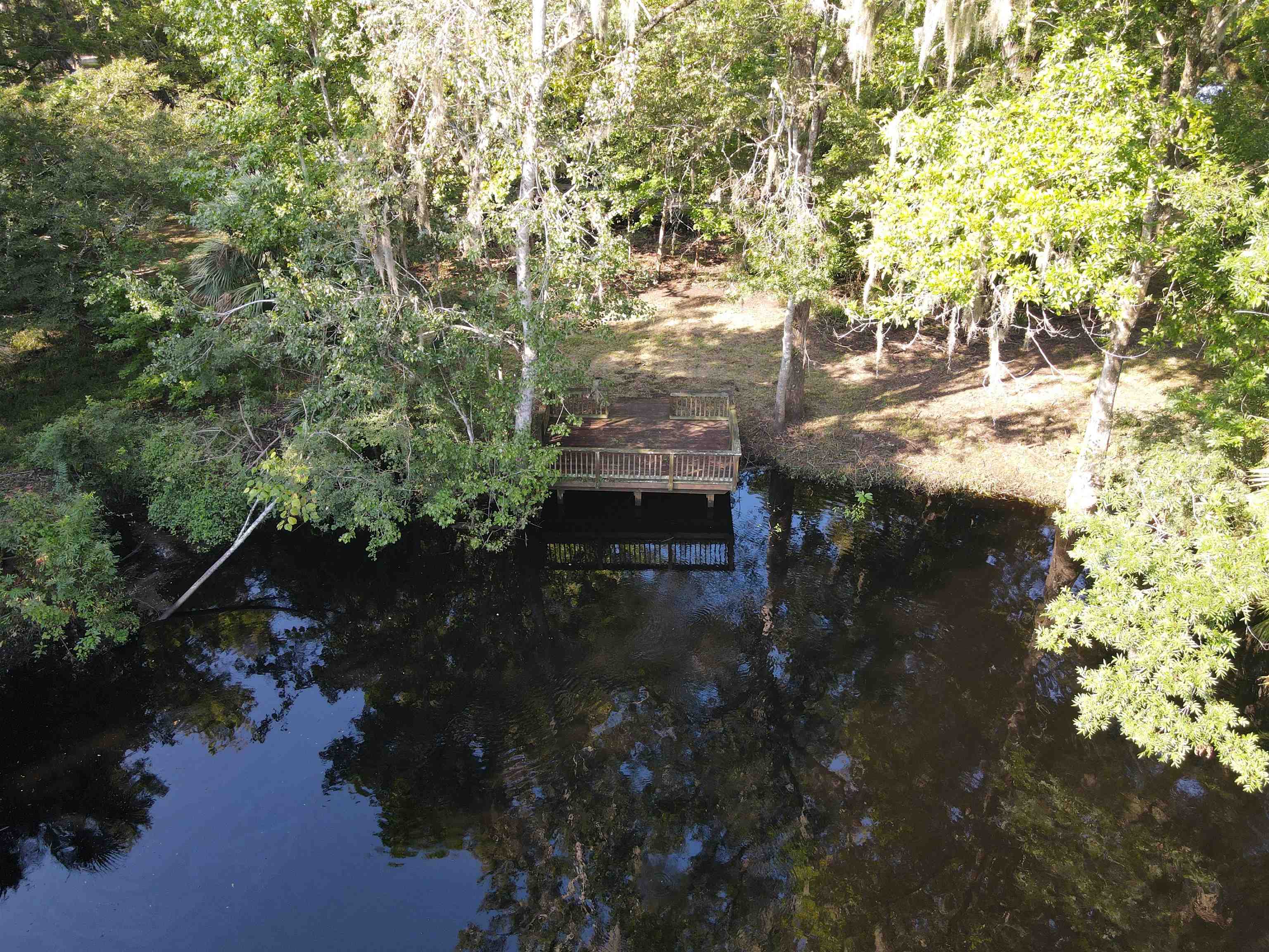 23210 Nutall Rise Road Lamont, FL 32336 - Photo 13 of 23