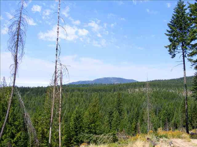 1760 Bohanan Road Colville, WA 99114 - Photo 3 of 7