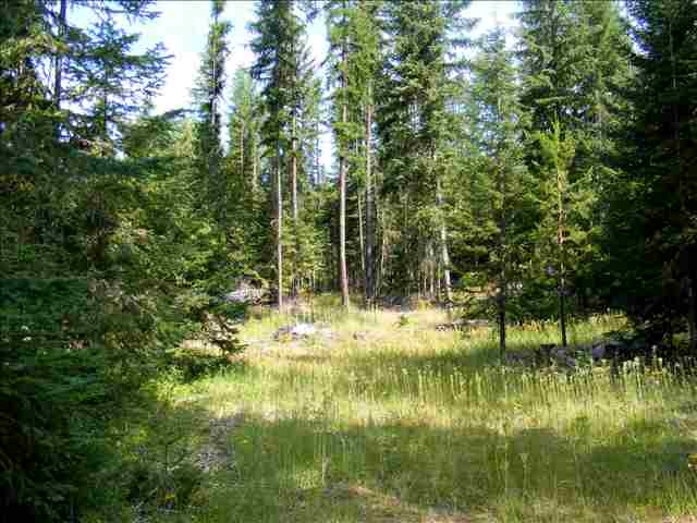 1760 Bohanan Road Colville, WA 99114 - Photo 4 of 7