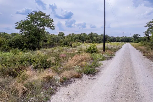 a view of a street with a tree in the background