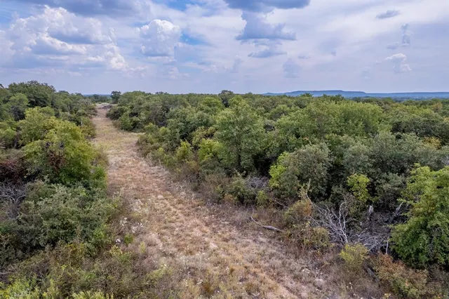 a view of a field with a tree in the background