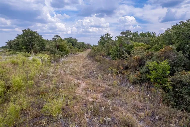 a view of a bunch of trees