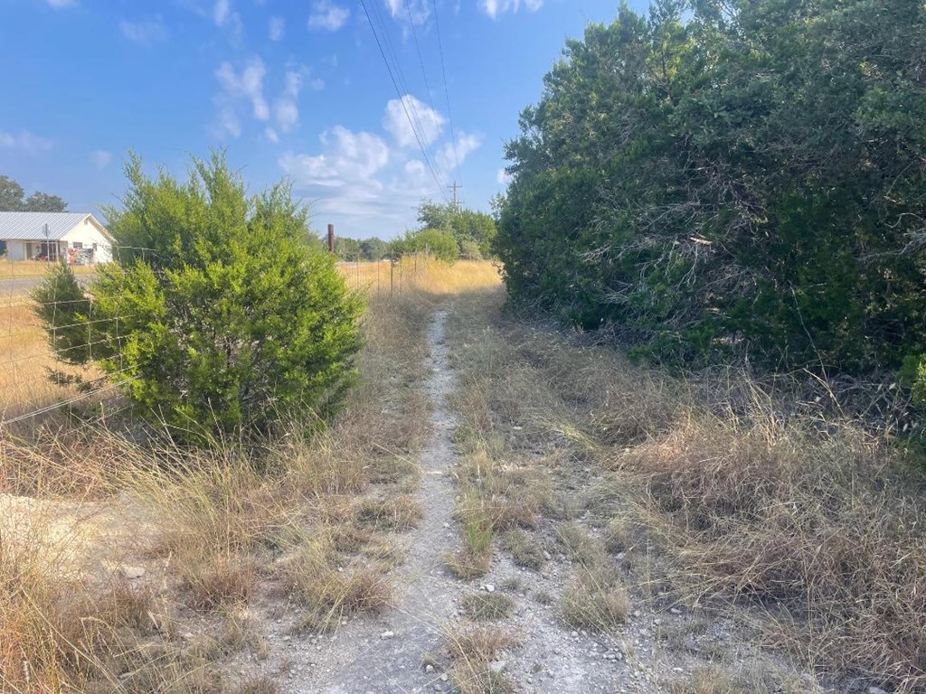 19831 West Rr 337 Camp Camp Wood, TX 78833 - Photo 12 of 27 a view of a yard with a tree
