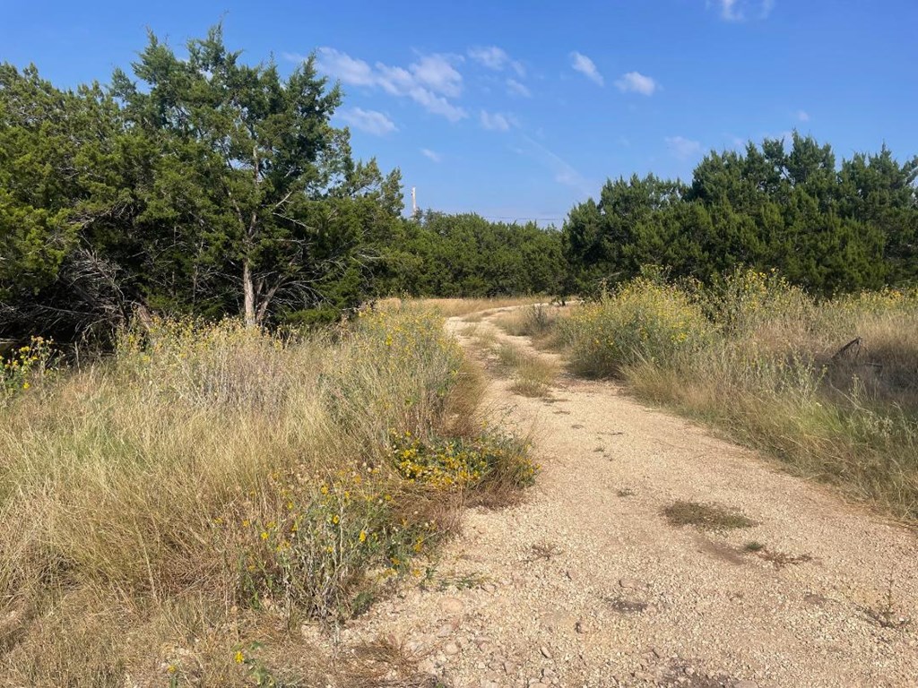 19831 West Rr 337 Camp Camp Wood, TX 78833 - Photo 27 of 27 a view of a lake with houses in the background
