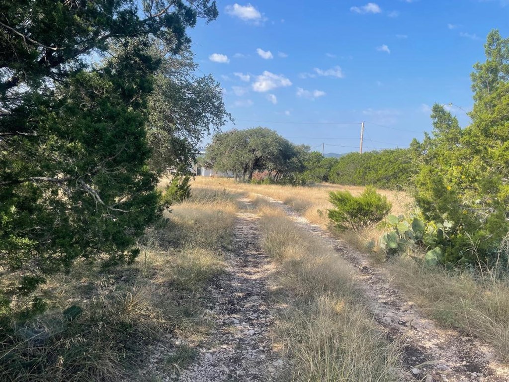 19831 West Rr 337 Camp Camp Wood, TX 78833 - Photo 10 of 27 a view of a field with a tree