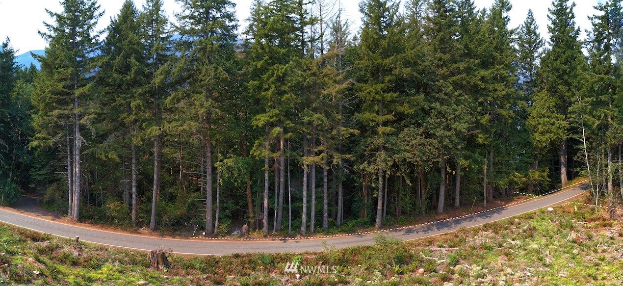 3700 East Quilcene Road Quilcene, WA 98376 - Photo 11 of 25