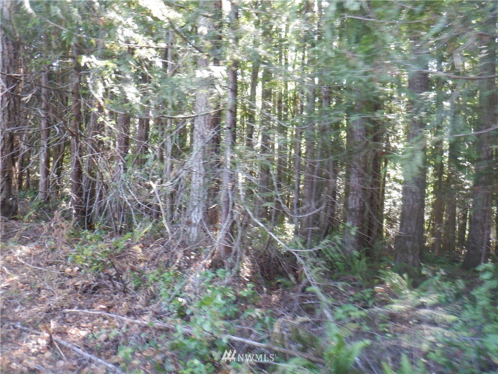 3700 East Quilcene Road Quilcene, WA 98376 - Photo 12 of 25