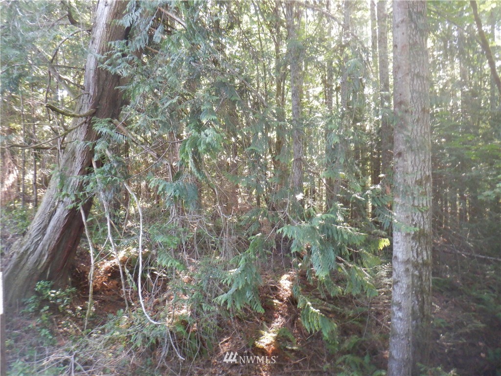 3700 East Quilcene Road Quilcene, WA 98376 - Photo 13 of 25