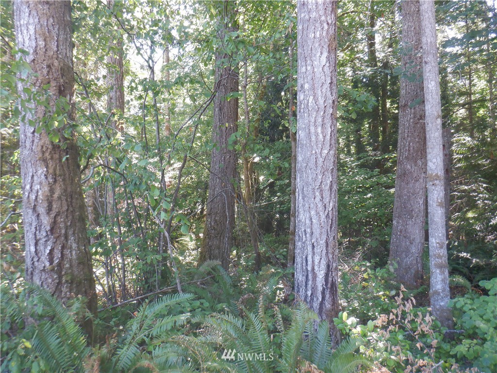 3700 East Quilcene Road Quilcene, WA 98376 - Photo 15 of 25