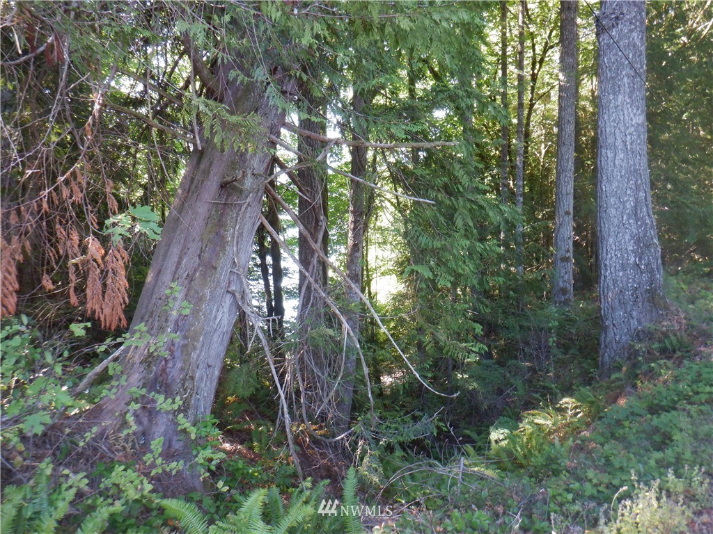 3700 East Quilcene Road Quilcene, WA 98376 - Photo 16 of 25