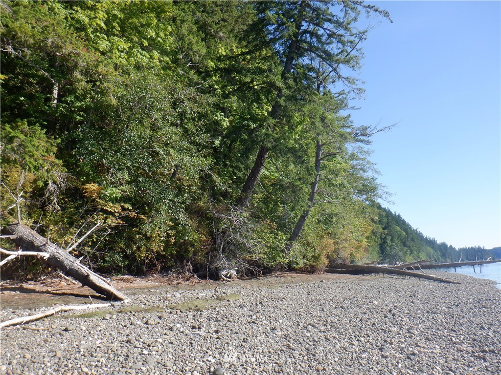 3700 East Quilcene Road Quilcene, WA 98376 - Photo 8 of 25