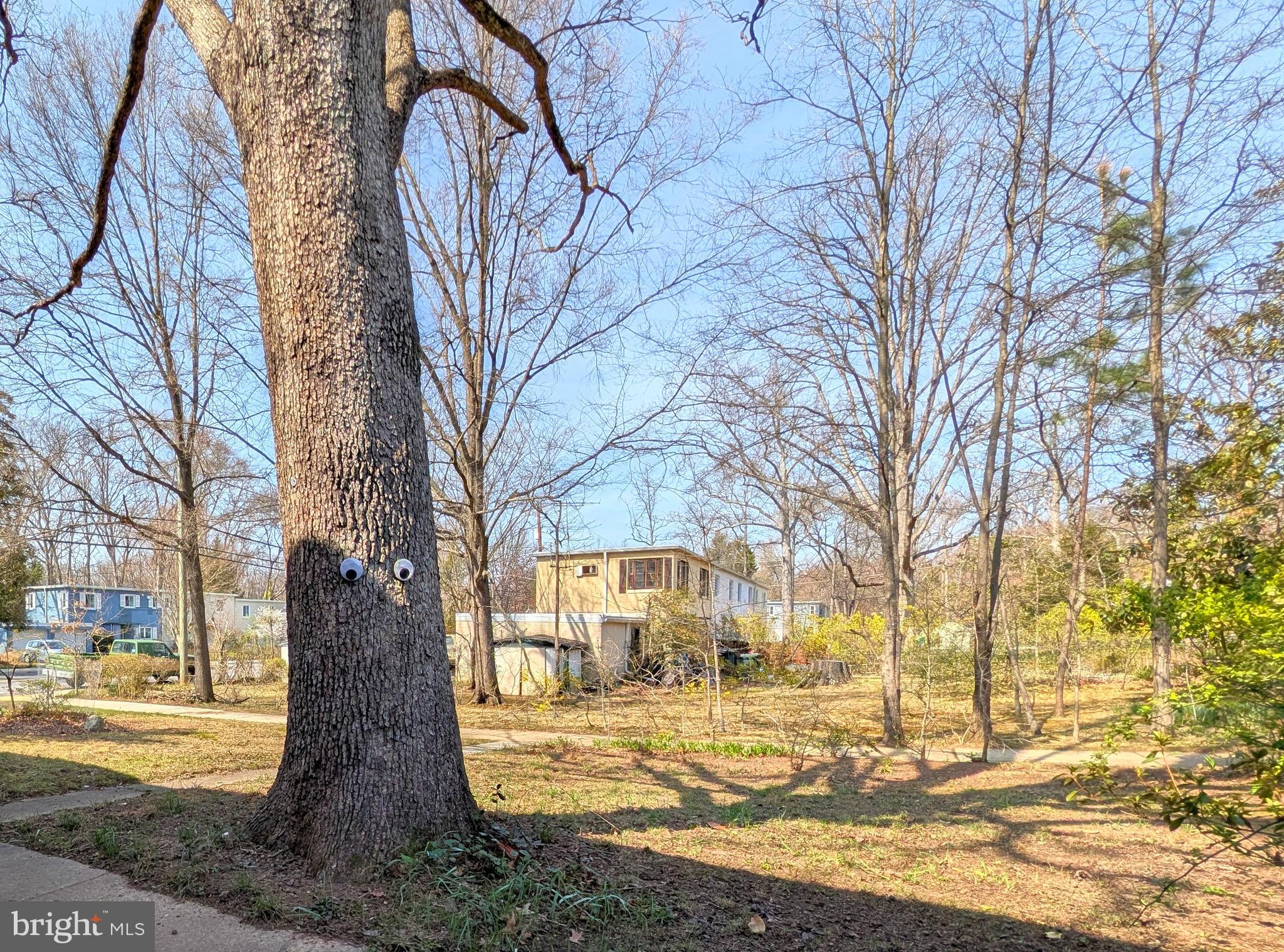 6 Hillside Road Greenbelt, MD 20770 - Photo 8 of 18