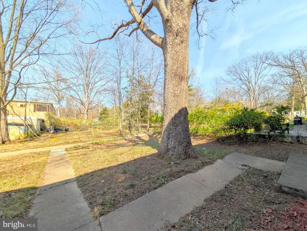 a view of a yard with an outdoor space