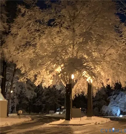 a view of ocean view with large trees