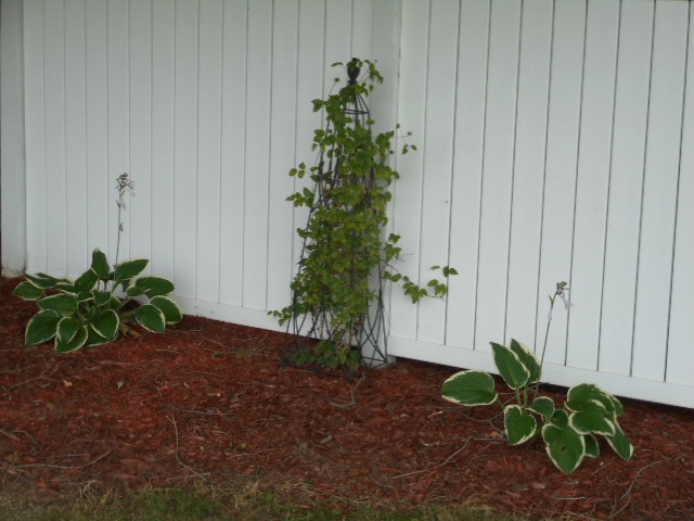 3758 South Packerton Road Warsaw, IN 46580 - Photo 20 of 25 Gallery Image 20